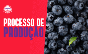 Read more about the article Açaí Tribbu: entenda o processo de produção do pé ao copo