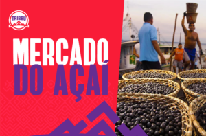 Read more about the article O mercado de açaí e seus benefícios para a economia e saúde