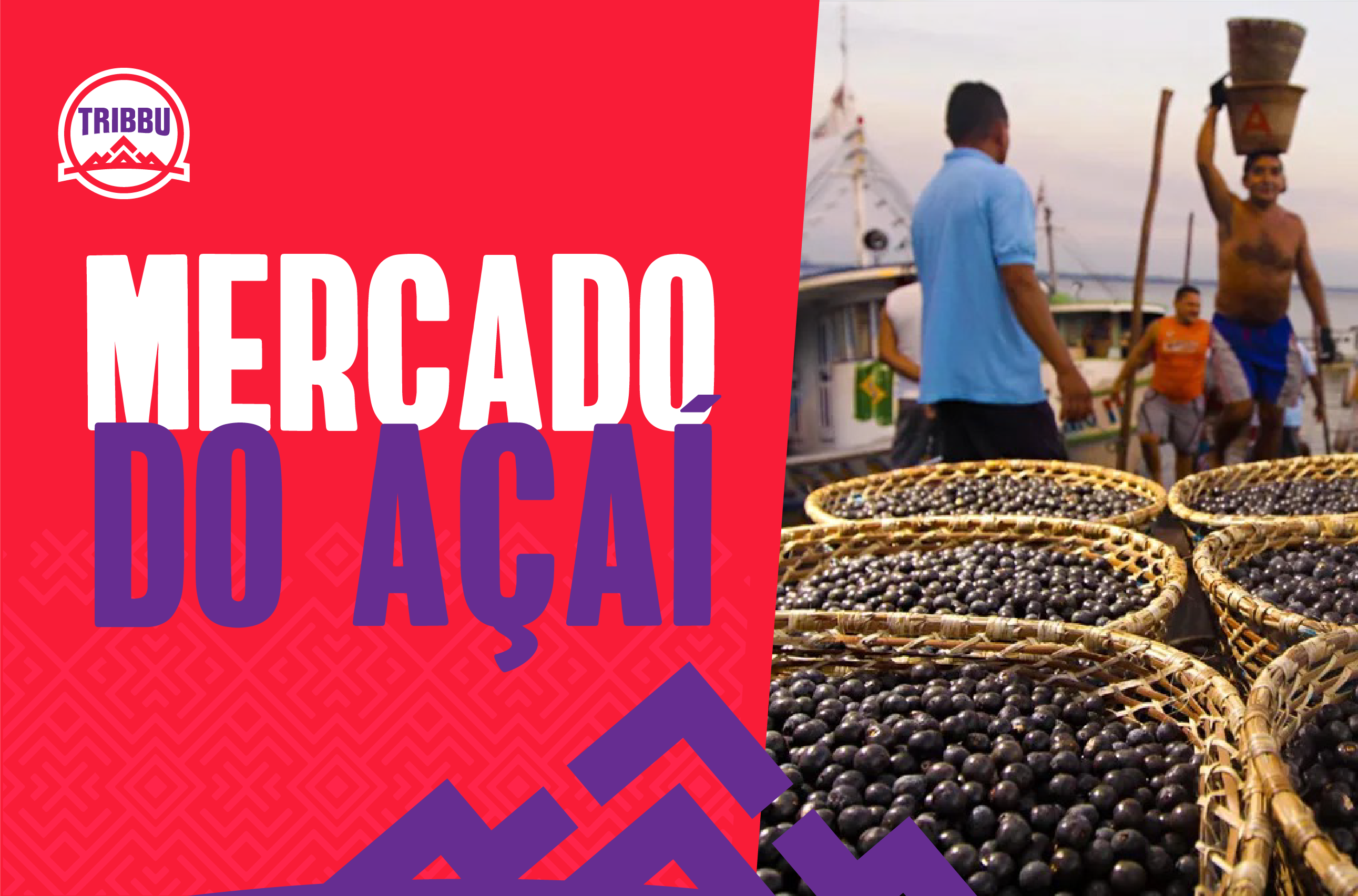 You are currently viewing O mercado de açaí e seus benefícios para a economia e saúde